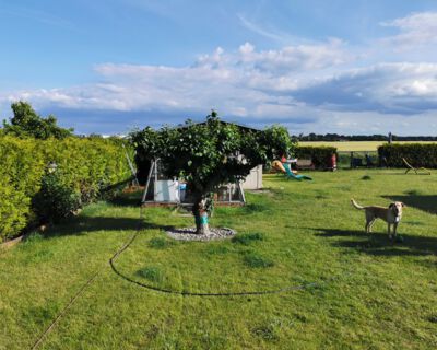 Bungalow mit Terasse 4 Pers.